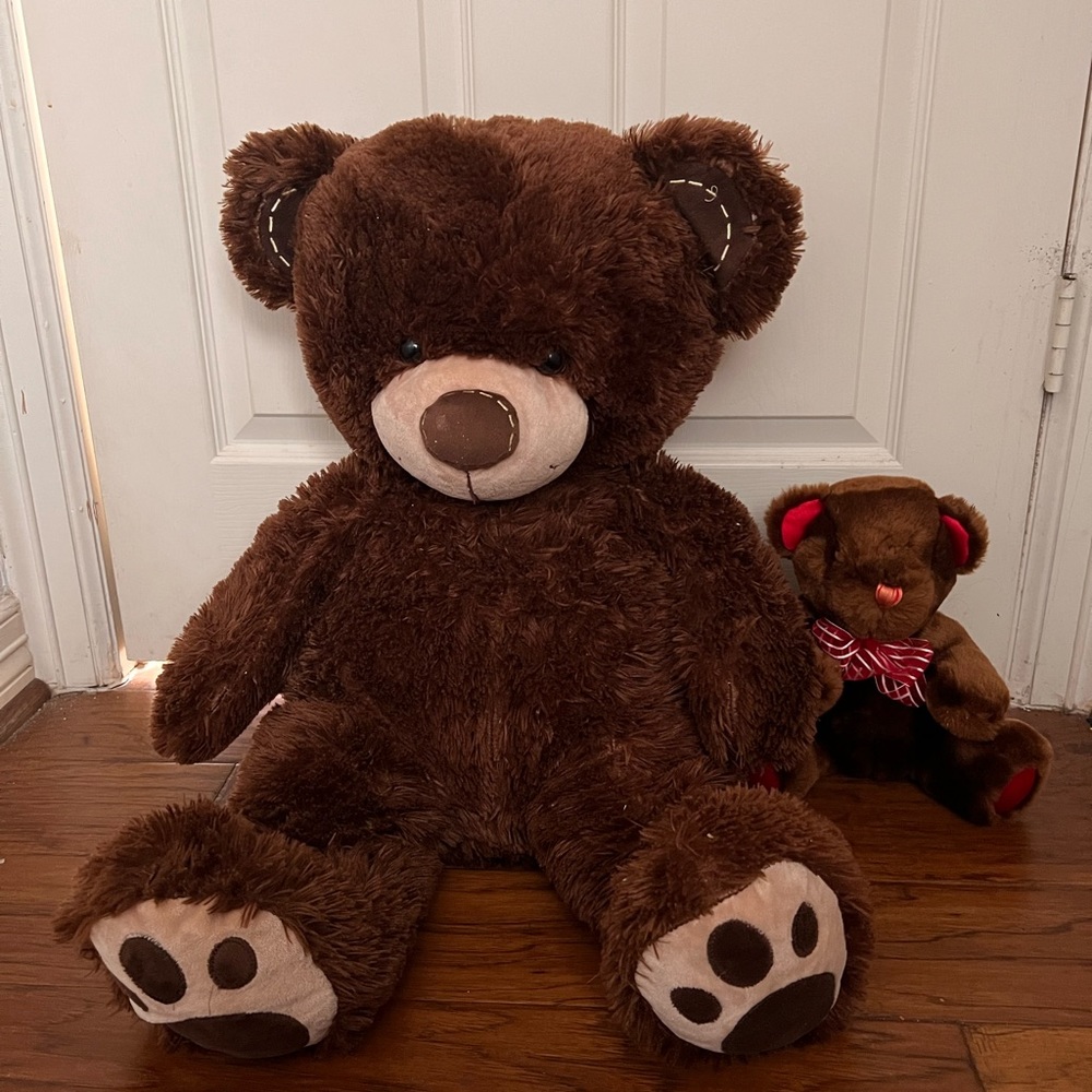 Big brown teddy bear (small teddy shown for regular teddy bear size)